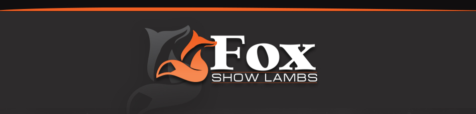 Fox Show Lambs